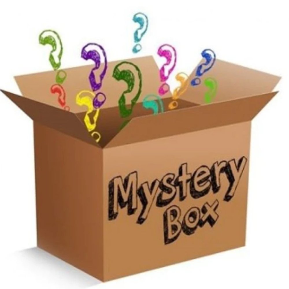 Mystery Box - 5 Items - 2 Random Shirts, 1 Plush, 1 Purse, and 1 Random Item